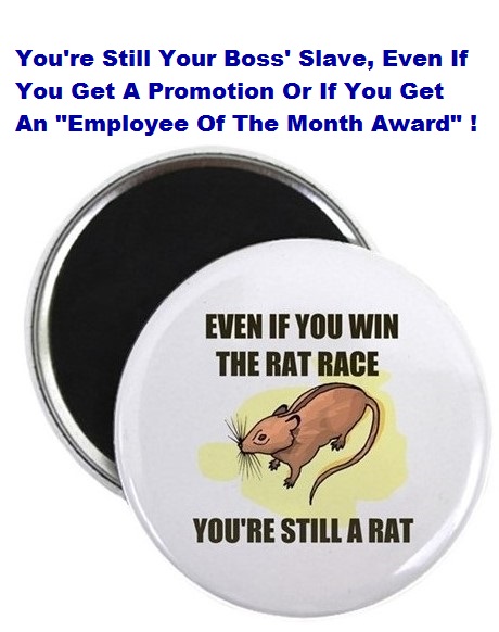 Your boss still owns you and still benefits most from all your hard work, time and energy! Even if you get promoted or receive an award for being a good employee! You are still a rat, trapped in the  Rat race!